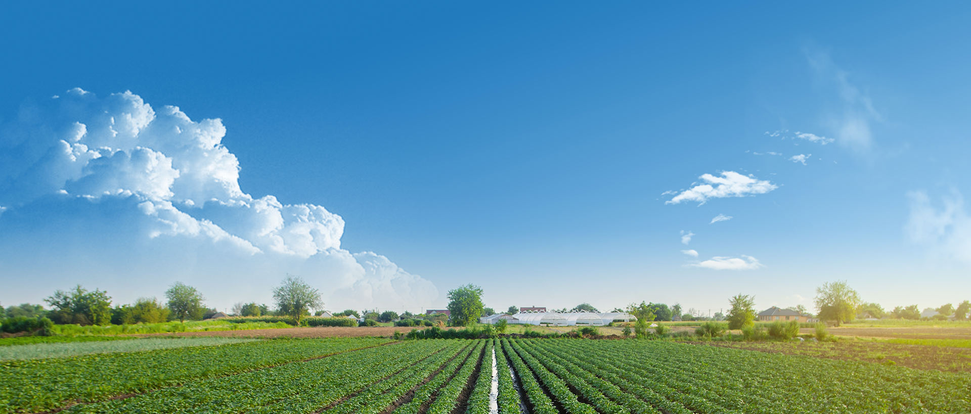 Agricultural irrigation
